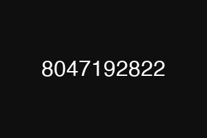 8047192822