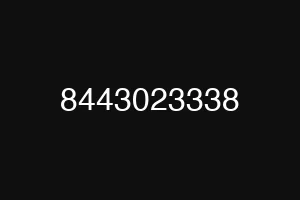 8443023338