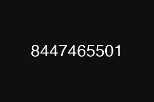 8447465501