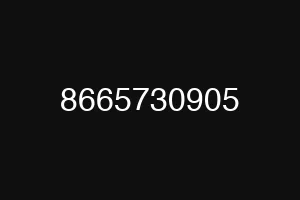 8665730905