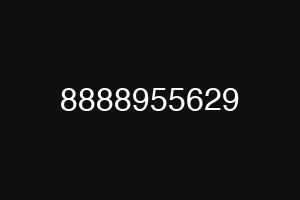 8888955629