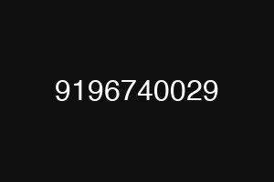 9196740029